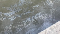 Астраханский Росприроднадзор ликвидировал загрязнение акватории