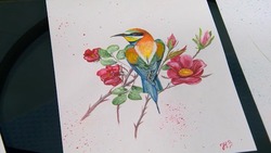 В Астрахани работает уникальная выставка фотографий и картин