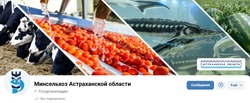 Астраханцев приглашают подписаться на страницу минсельхоза региона