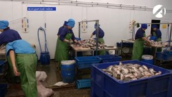 Астраханская рыба пользуется спросом на российском рынке