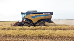 В Астраханской области началась уборка риса