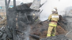 В Астраханской области короткое замыкание привело к крупному пожару