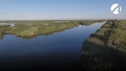 Запрет на посещение лесов в Астраханской области продлили до 23 октября