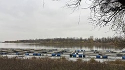 Объём господдержки астраханских сельхозпроизводителей в 2025 году превысил 1 млрд рублей