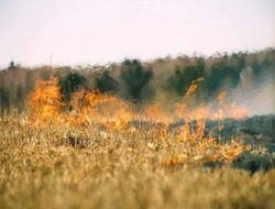 В Астраханской области установилась чрезвычайная пожароопасность