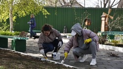 Губернатор Игорь Бабушкин позвал астраханцев на субботник 25 апреля