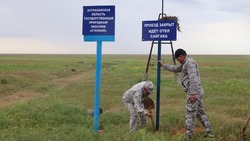 В Астраханской области начался сезон отёла сайгаков
