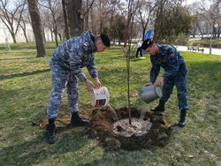 К акции «Сад Памяти» присоединились астраханские приставы