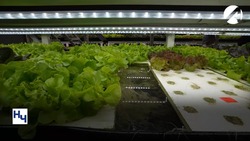 Стартовал приём заявок на грантовый конкурс «Агростартап»