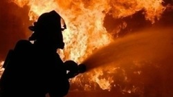 В Ахтубинске загорелись хозпостройка и автобус