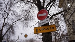 В Астрахани временно ограничат движение для опиловки деревьев