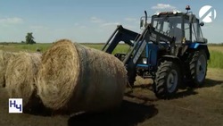 Астраханские фермеры могут получить гранты