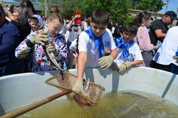 В акваторию Волги выпустили 200 особей белуги и около 70 тысяч русских осетров