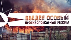 В Астраханской области введён особый противопожарный режим