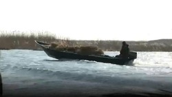 Гостя Астраханской области наказали за незаконную охоту