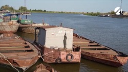Астраханский рыбозавод экспортирует продукцию в Казахстан и Беларусь
