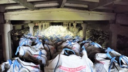 Астраханская таможня арестовала более 6 тысяч тонн цемента