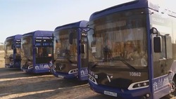 За девять месяцев астраханские «Волгабасы» перевезли более 5 млн пассажиров