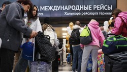 В российских аэропортах могут ввести стойки регистрации для семей с детьми