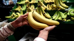  Бананы в России стали популярнее яблок