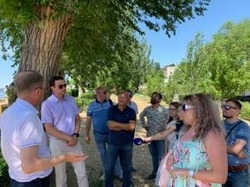 Масштабного сноса тополей в Астрахани не будет