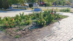 В Астрахани в сквере Ветеранов наладили полив 