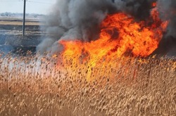 В Астраханской области действуют серьёзные противопожарные ограничения