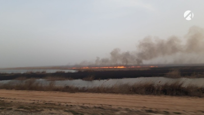 Сильный запах гари. Пожары в Астраханской области. Ландшафтный пожар. Пожар камыша. Горит камыш в Астрахани.