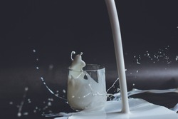 В астраханских соцучреждениях нашли фальсифицированную молочку