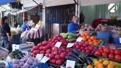 Игорь Бабушкин поручил навести порядок на несанкционированных торговых площадках