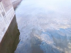 В Астрахани обнаружили загрязнение акватории Волги