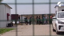 В Астрахани введено обязательное чипирование собаки перед передачей новому хозяину