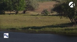В Астраханской области началась подкачка воды в ильмени и реки