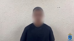 Астраханские полицейские нашли виновного в издевательствах над лебедем