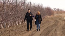 Килинчинские сады готовы обеспечить фруктами астраханцев и другие регионы России