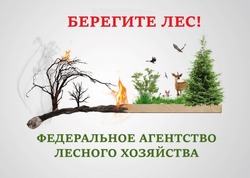 В Астраханской области продлено ограничение по пребыванию в лесах