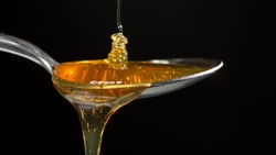 Врач рассказала о пользе и вреде мёда