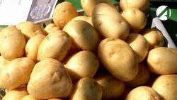 20 тонн картофеля из Казахстана не пропустили в Астраханскую область