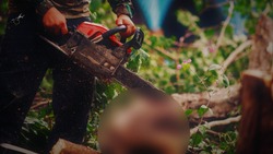 Бензопила побудила астраханца к совершению преступления