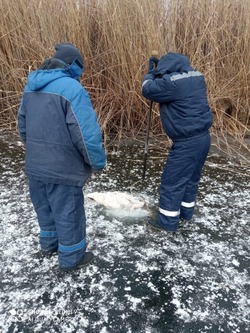 В Астрахани из-подо льда достали тело женщины