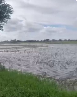 Паводок в Астраханской области проходит по позитивному сценарию