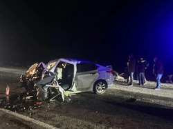 В Астраханской области в ДТП с коровой погиб водитель