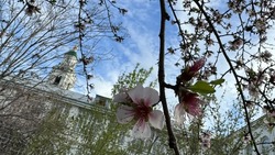  Астраханцы пытаются самостоятельно продлить майские праздники