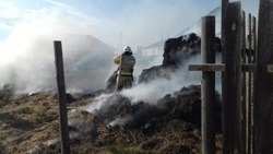 В Астраханской области пожар уничтожил сено