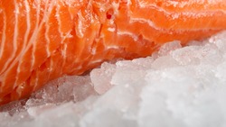 В Астрахани выявили сёмгу-самозванку