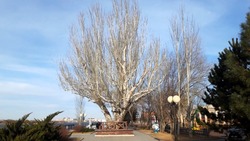 Какая погода ждёт астраханцев 2 марта