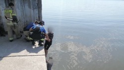В Астрахани на центральной набережной чуть не утонули два человека