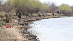В Астраханской области и на Каспии введён запрет на вылов воблы до 31 декабря