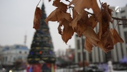 Афиша новогодних мероприятий в Астрахани на 4 января