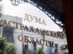 Астраханская облдума приняла обращение к Правительству РФ об изменениях в закон о животных